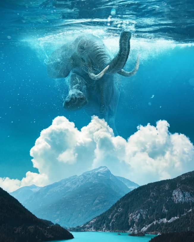 TedsLittleDream tweet media