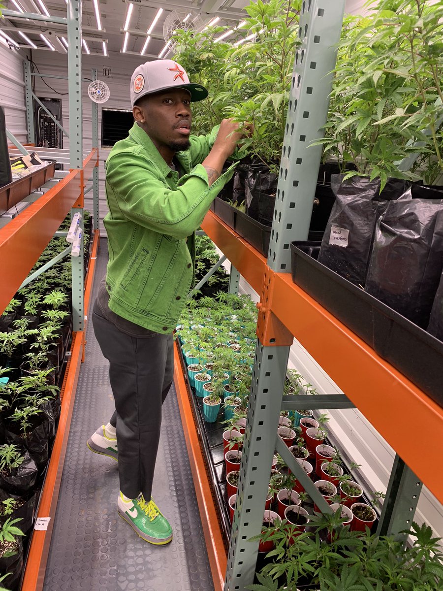 Cotton Boulevardez tweet media