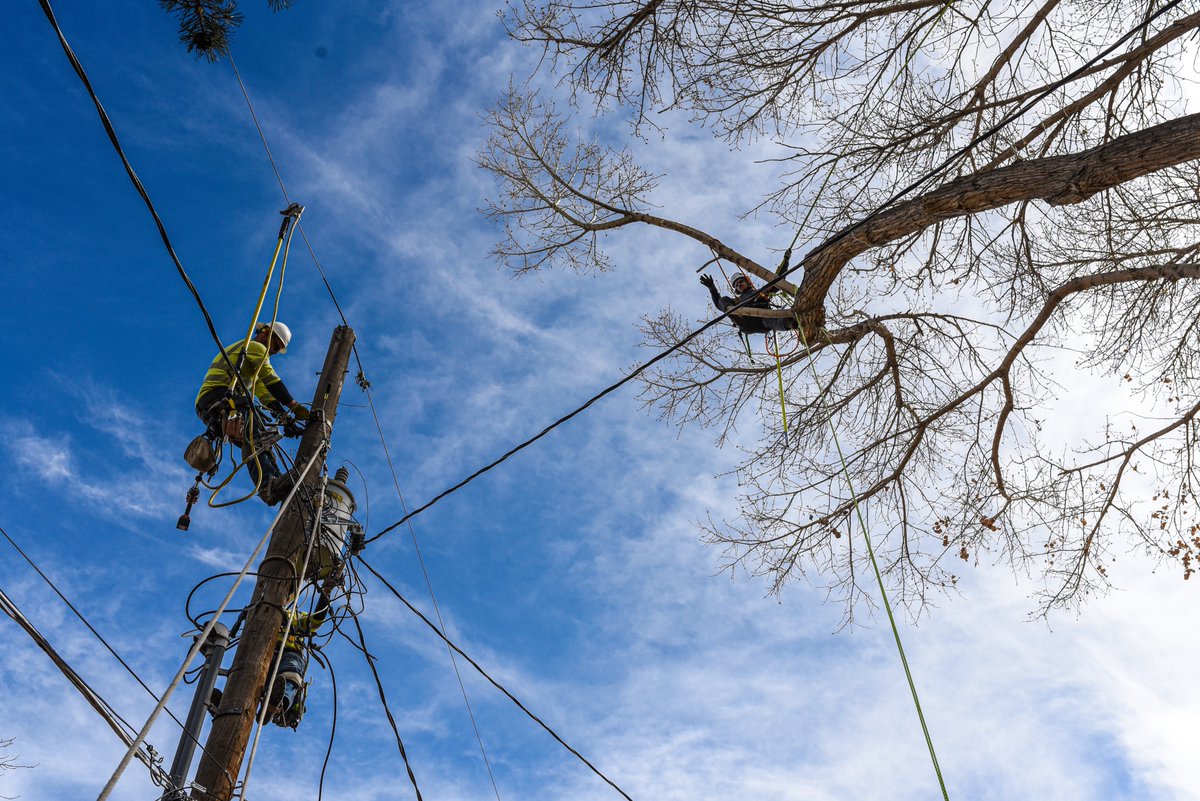 Find out about DMEA's planned outages scheduled weekly as we work through English Gardens here- dmea.com/planned-outage…