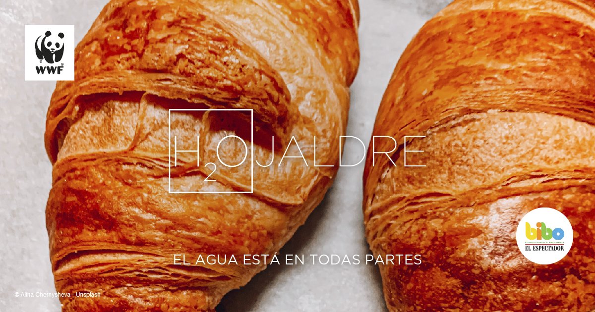 BIBOCol's tweet photo. El agua es el recurso más preciado del planeta, esencial para la salud, los alimentos, la energía y el buen funcionamiento de la naturaleza. Y, en Colombia, es una de nuestras mayores riquezas naturales. ¿Cuál es tu mensaje #H2Oy con H20 para resaltar la importancia del agua? 👇 https://t.co/SHlEfG2TQm