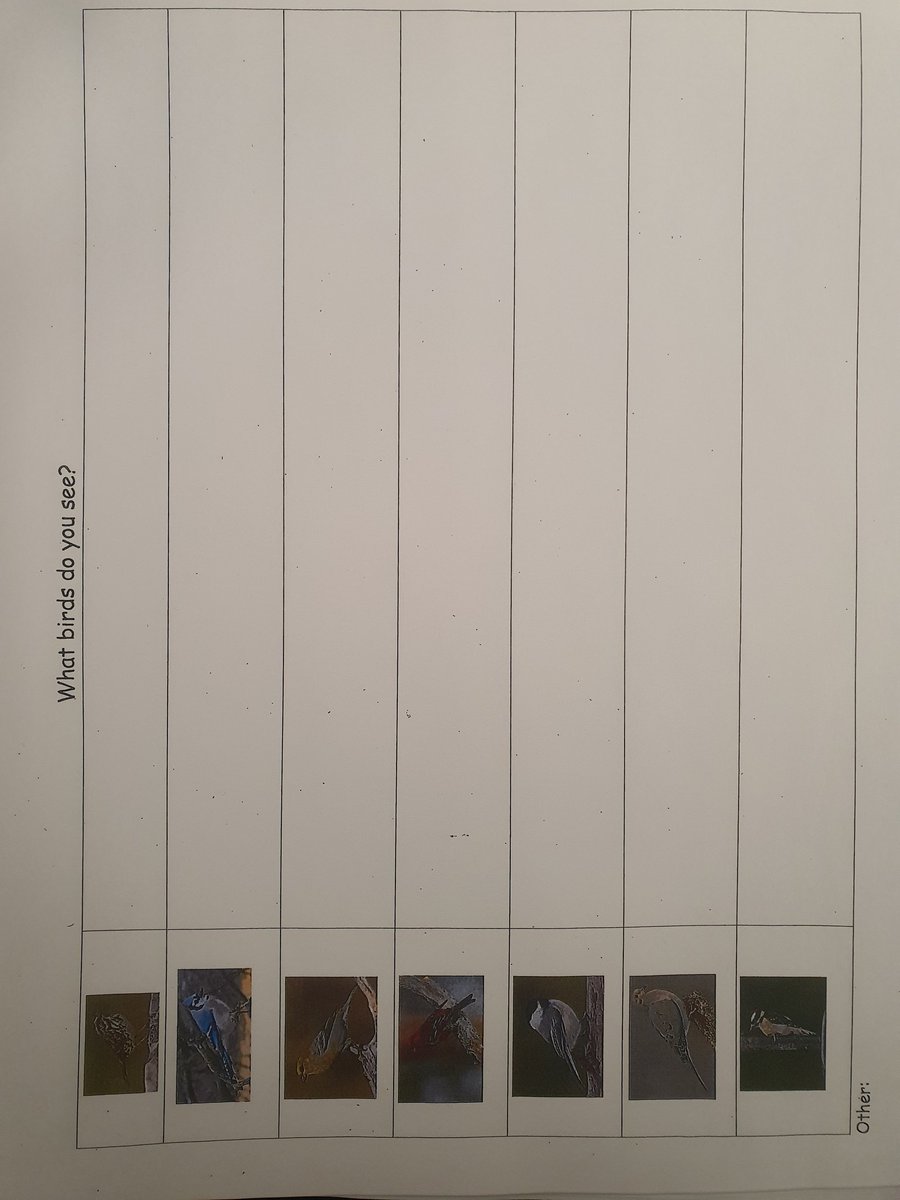 GrowingMinds105's tweet photo. We have been enjoying our observations on the egle and her eggs. Today we created a tally chart on how many different birds we saw at the feeder. https://t.co/oUFBPQotYx