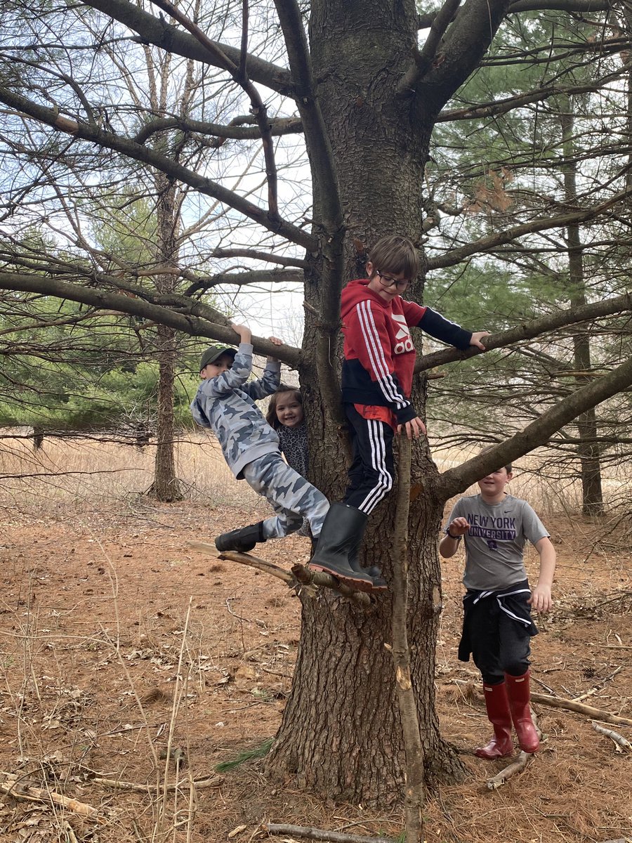 JamieKlenner's tweet photo. Into the woods we go..... creativity, building forts, friendship and laughter! https://t.co/MKMen4GpyJ