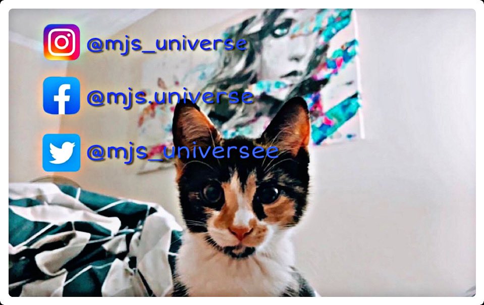 mjs_universee's tweet photo. #cat #catsofinstagram #instacat #kitten #cute #instagood #recent #followme #pet #love #instagood #instagram #petsofinstagram #adore #adorable #australia #australian #fluffy #chill #young #followme #instapets #animal #animallover https://t.co/4JFFeyEJdh