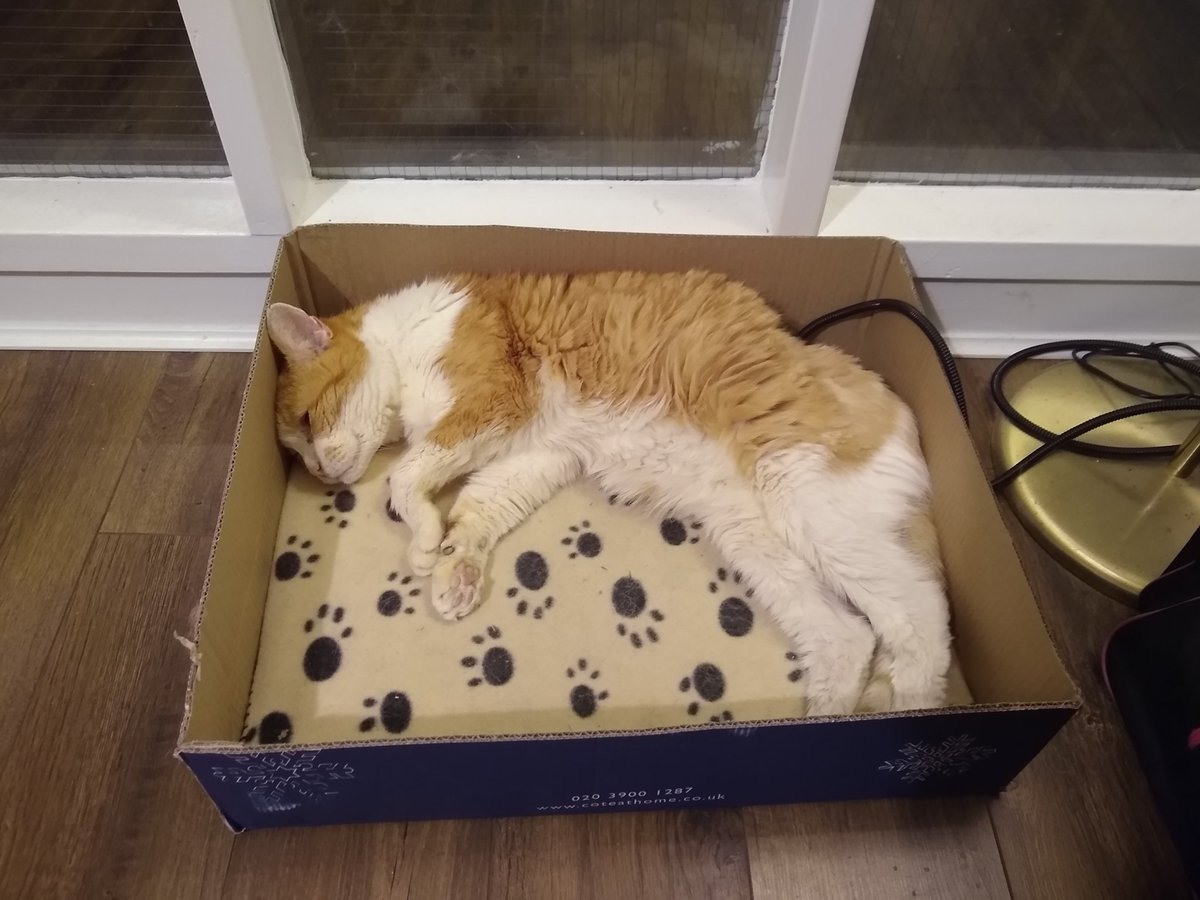 VicarageCat's tweet photo. Not dead - just recharging. Warmmmmm....... https://t.co/0JXZLv6z5L