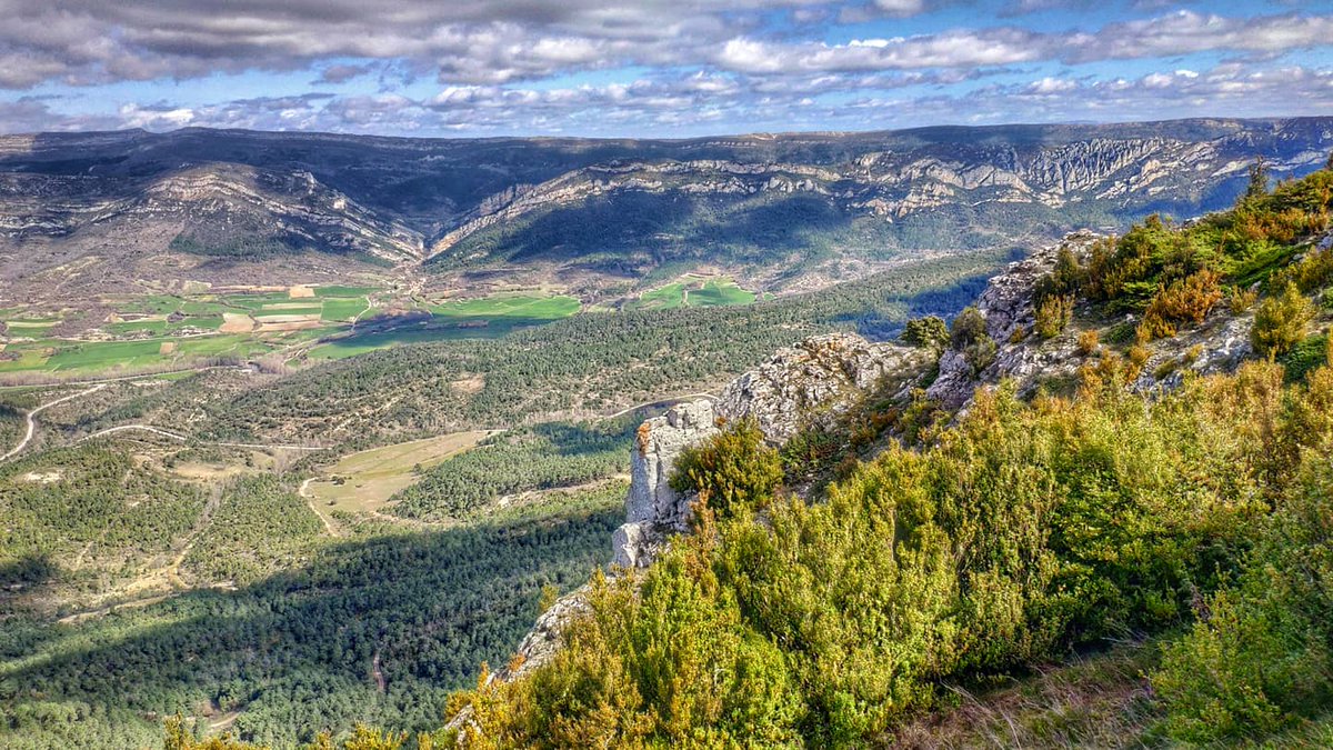 pd_diaz's tweet photo. «Alas que arraiguen · y raíces que vuelen» 🏞️☁️🌳👐
·
·
#Serranía del #Pico #Tablones (1248m), frontera del #ValledelasCaderechas (La #Bureba) y #ValledeValdivielso (#Merindades), #Burgos.
[#HerreradeValdivielso o de #Caderechas / #Burgosenelmundo, @BurgosTur / #cyl, @cylesvida]. https://t.co/VUlI1IoDXR
