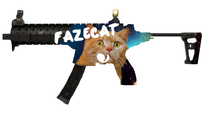 roottool's tweet photo. @DarkZeroGG #FazeDown #FazeCat https://t.co/Cp9Wv1GkwH