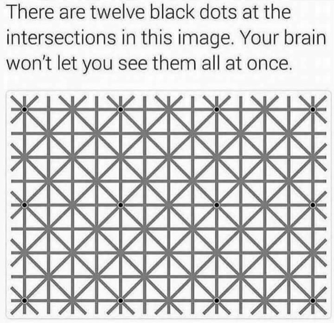 The_ArtOfCode's tweet photo. #subjectivereality https://t.co/Q0r3n4l6EG