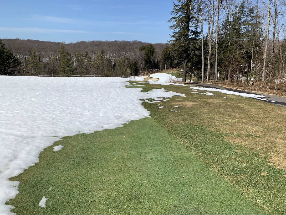 turfman31's tweet photo. After a long walk inspecting the entire property, it’s time for an afternoon nap in the sun. @TaytheMechanic @DogsOfTurf #shopdogs #lookingclean #syngenta #bayer #turflife #beautifulday #Muskoka #therockgolf https://t.co/ZeLBXNi2h4