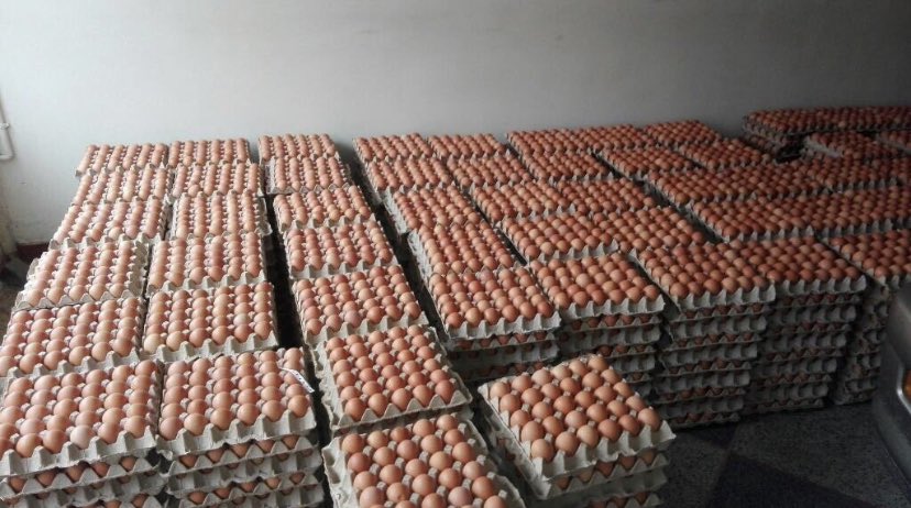 Los huevos que me chupa tu opinión jajaj