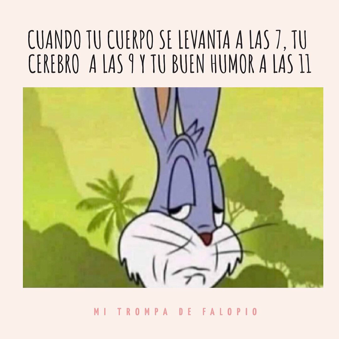 mitrompa's tweet photo. A esta hora ya puedo decirles buenos días! Que tengan un bonito lunes 🌝🌝💕💕 https://t.co/934qcKlQUC