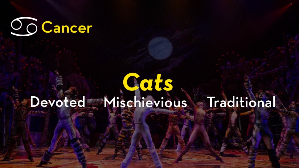 playbill's tweet photo. In honor of Andrew Lloyd Webber and Stephen Sondheim's shared birthday today, find out which of their musicals aligns with your astrological sign with #BwayAstro! https://t.co/2Pj7izJyPj https://t.co/YkS46B8iVT