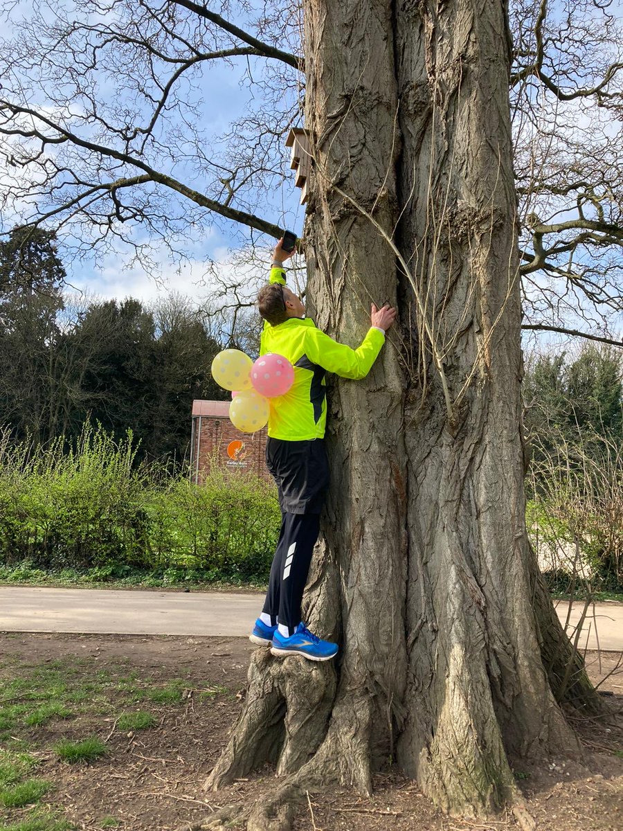 Using balloons is a sure fire method to assist me check these #bat boxes in #DarleyPark #Derbyuk Sadly the bat boxes were empty so I floated off which is probably best for the bats ⁦@derbyshirebats⁩ ⁦@_BCT_⁩  ⁦@derby_parks⁩