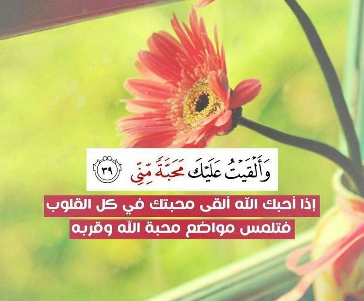 اللهم إنا نسألك حبك ، وحب من يحبك ..
وحب كل عمل يقربنا إلى حبك..🌸
.
.
.

أضيئوا عتمة الليل بنور الوتر لعل ركعة واحدة تكون نهاية حزن ثقيل وبداية فرح مقيم💞
#الوتر_جنة_القلوب ❤️
#قروب_الصعفاني_للدعم