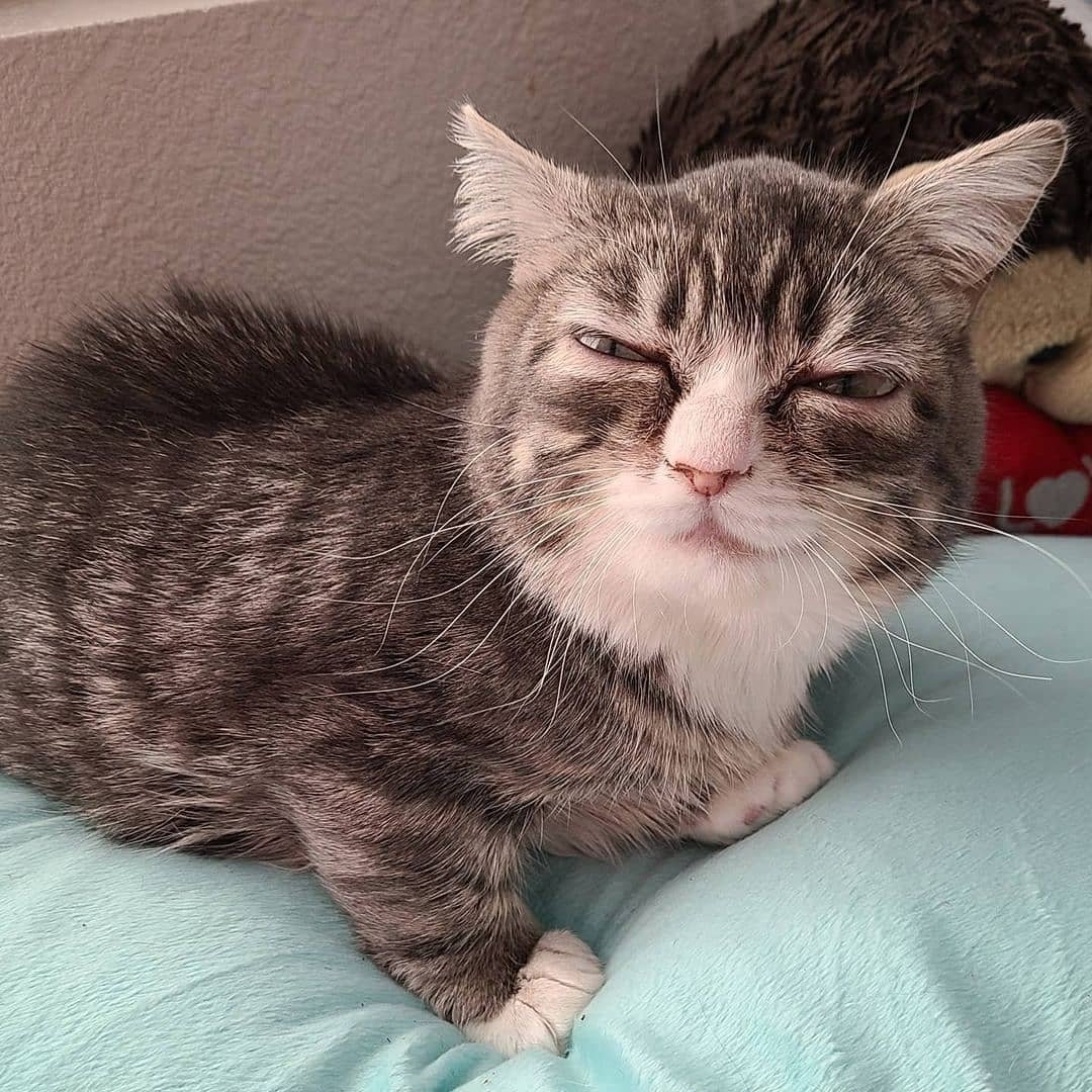 Mulakan hari anda dengan keraguan.