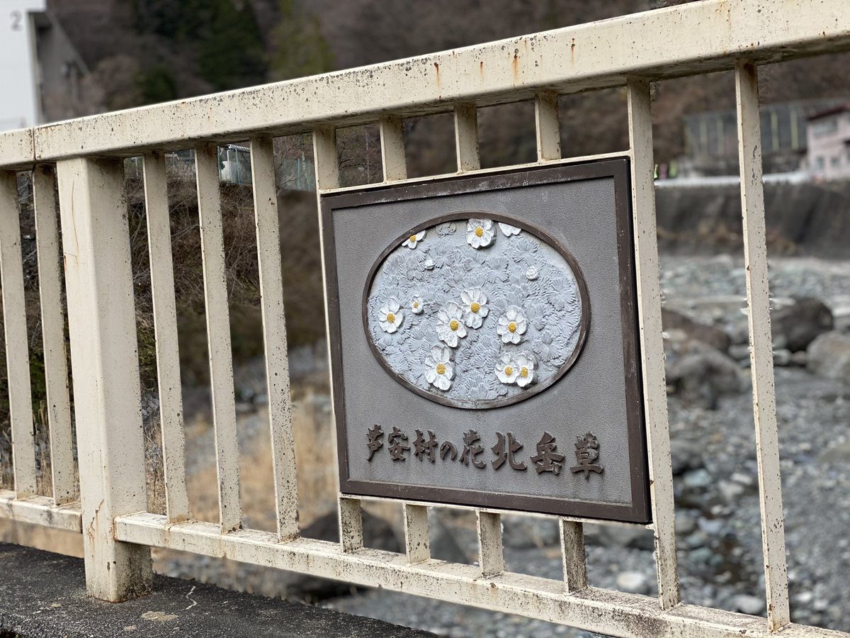 WalkYorimichi's tweet photo. ✳︎芦安で見つけたお花✳︎

3/30（火）に延期とさせていただいた次回ヨリミチですが、ちょうど桜の見頃になりそうです！

他にはどんなお花に出逢えるでしょう♪
（午前の回余裕あります）
https://t.co/dHZbtQNQIq
#ヨリミチ
#ウォーキング
#南アルプス山麓
#芦安
#里の春
#北岳草
#アブラチャン https://t.co/8MVrTVg2by