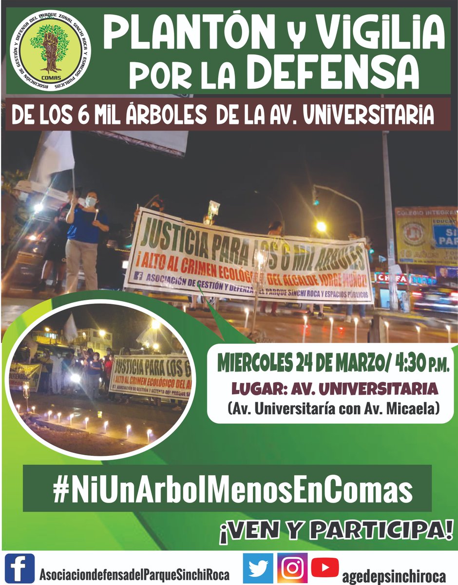 AGEDEPSINCHI's tweet photo. PLANTÓN Y VIGILIA POR LA DEFENSA DE LOS 6 MIL ÁRBOLES DE LA AV. UNIVERSITARIA, MIERCOLES 24 DE MARZO, HORA 4:30PM, AV. UNIVERSITARIA CON AV. MICAELA EN COMAS, PASA LA VOZ!!! https://t.co/WIxgckOk35