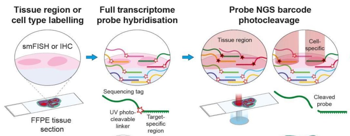 Omer Ali Bayraktar on Twitter: