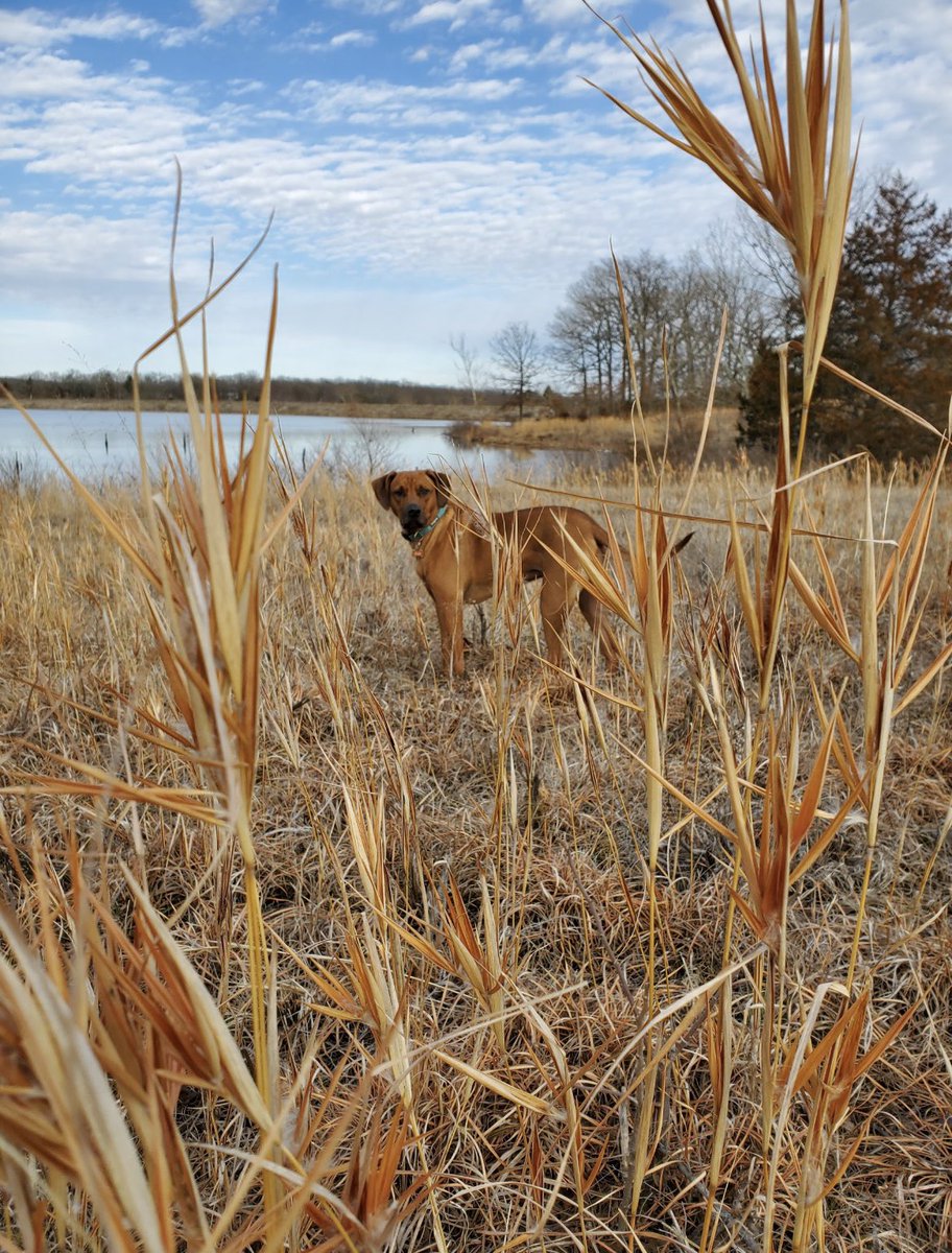 “My favorite thing about being a student ambassador is promoting the school and speaking to incoming families. I enjoy shooting trap and skeet, photography and hiking, especially with my dog else. This summer I will be interning with Haskell Engineering.” - Abigail, Senior