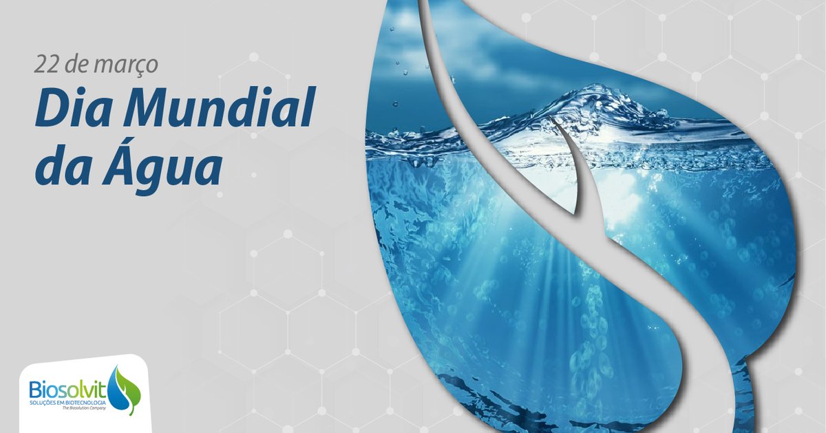 biosolvitbr's tweet photo. Cuidar da água é cuidar do nosso presente e do nosso futuro! Por isso, aqui na Biosolvit temos sede de inovação que gere resultado em todas as nossas propostas, mas que possa gerar também um mundo melhor para todos nós!
#diamundialdaagua #agua #biotecnologia #ciencia #inovação https://t.co/xziWV9P9QE