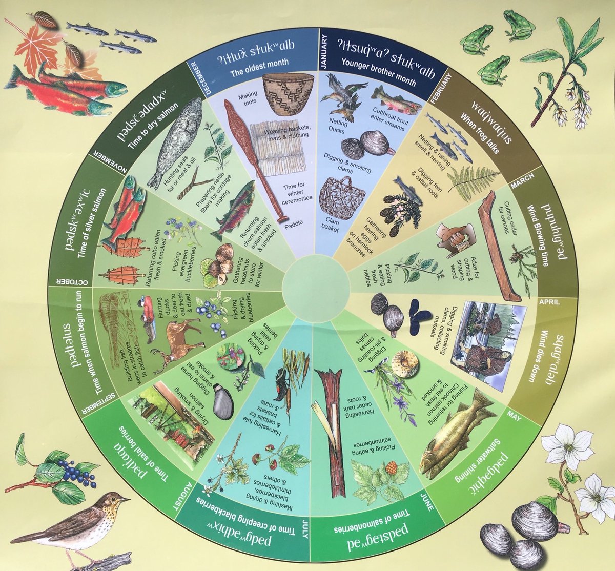 MsBTeach_'s tweet photo. Today we learned about seasonal rounds, a traditional Indigenous tool used to track the seasons. Students journaled what might be in their seasonal round for spring. The excitement of spring followed us outside when we chalked 🌷🌞 @Heloise_Lorimer https://t.co/sg6olPRUKG