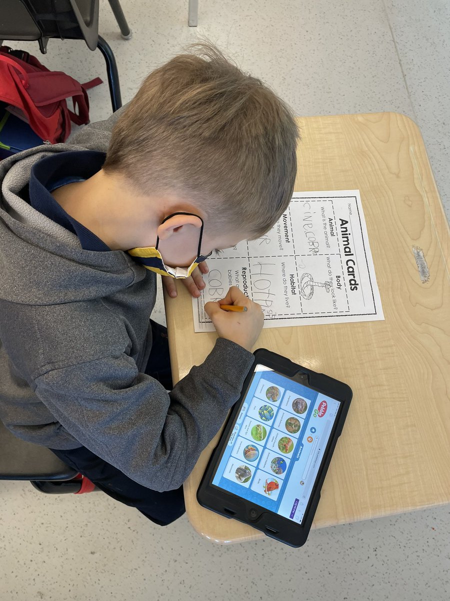 Miss_Jones05's tweet photo. Today we started researching about our favourite animals. We used non-fiction books and pebblego to fill in our information organizer. Next, start writing our research reports! @StGregoryHCDSB #HCDSB https://t.co/EN6qzyyN5T