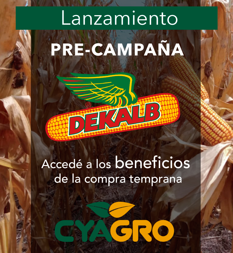📢 Comenzó la #PrecampañaDEKALB
⁣
👉🏼 Conseguí tus híbridos <a href="/DekalbArgentina/">DEKALB Argentina</a> con las mejores condiciones.⁣
⁣
🔺 Contactanos y asegurá tu rinde🔺