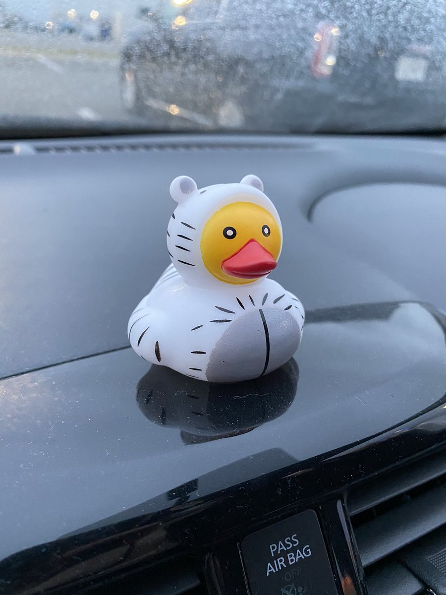 0094hoon's tweet photo. Weves please help!
Does anyone have a picture of Yonghoon in his white tiger onesie?
I’m trying to explain to my friends why winning the white tiger rubber duck was so important. Haha https://t.co/v67LBVyFW7