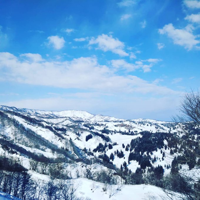 松之山温泉スキー場のtwitterイラスト検索結果