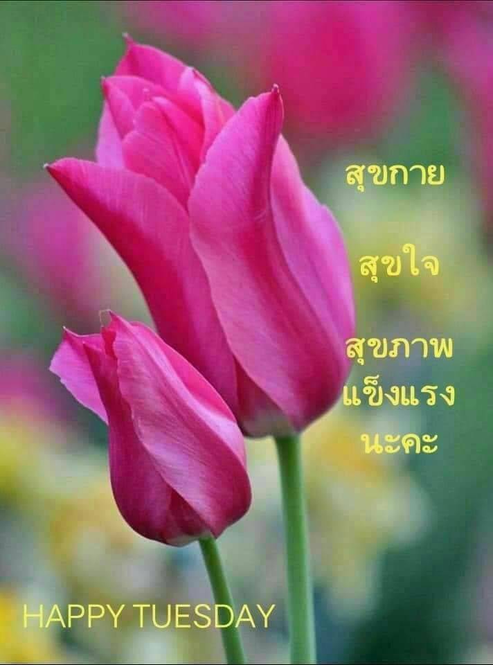 PreechaChimsuw7's tweet photo. มอนิ่งก๊าบบ https://t.co/SoBMBjJ6O6