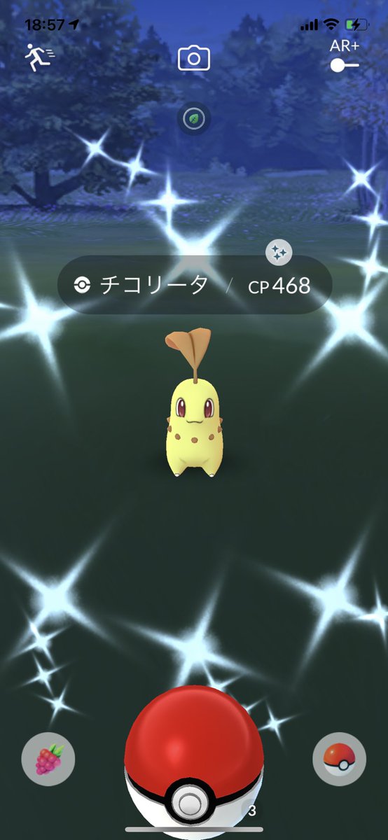 ポケモンgo チコリータの色違い 入手方法と実装状況 攻略大百科