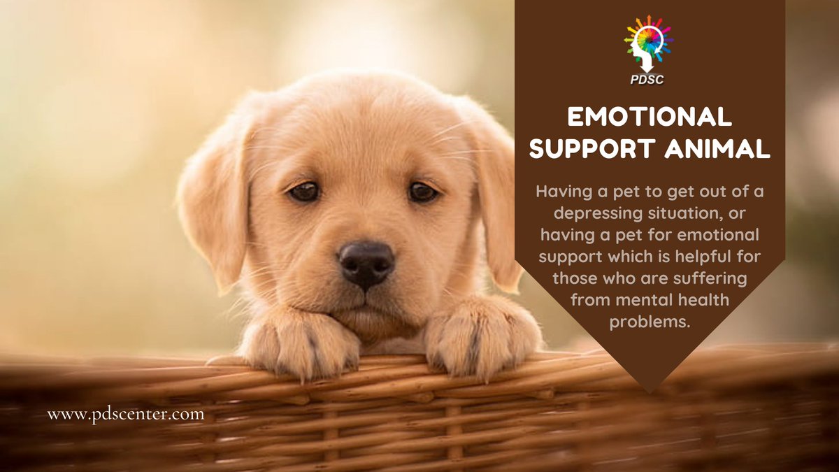 ESAcenter's tweet photo. If you have some mental issues or have a problem traveling with your pet. Then PDSC has a solution to resolve your problems regarding emotional support animal Letter.
.
See here: https://t.co/tywtwUa8y6
.
.
#ESALetter
#EmotionalSupportAnimal
#EmotionalSupportDog
#ESAOnlineLetter https://t.co/V9G5c95k9p