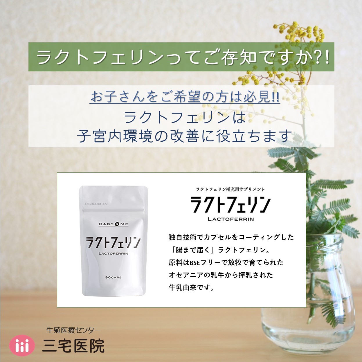 妊活サプリ　ベイビーアンドミー　ラクトフェリン2袋 ラクトフェリン | BABY&ME お子さんを望まれる方のための医療機関用