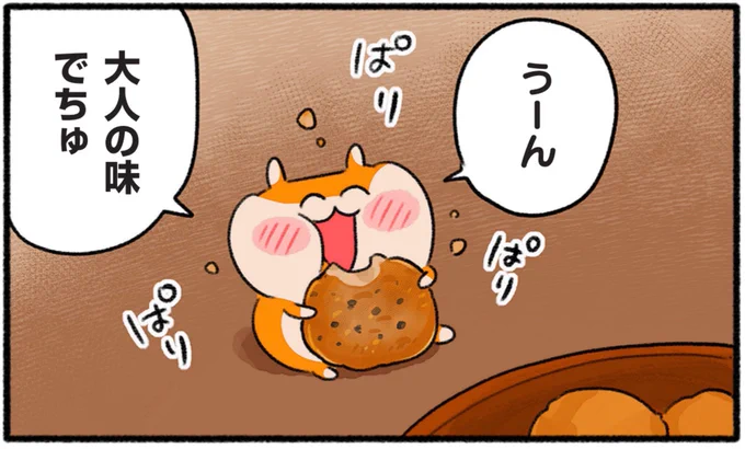 #生きぬけ爆走クソハムちゃん
60話更新されました!
https://t.co/z7BLZdYurD 