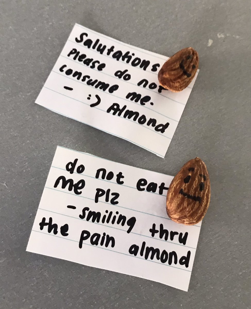 HelenHaine's tweet photo. Love my class and all their quirk. These adorned every desk after lunch today.
Finding the small joys. #MyJobRocks
Theyโre nutty in all the best ways ๐
#EdchatNZ #NZBFC630 #Edchat #EdchatAU https://t.co/3JWfV4O7bk