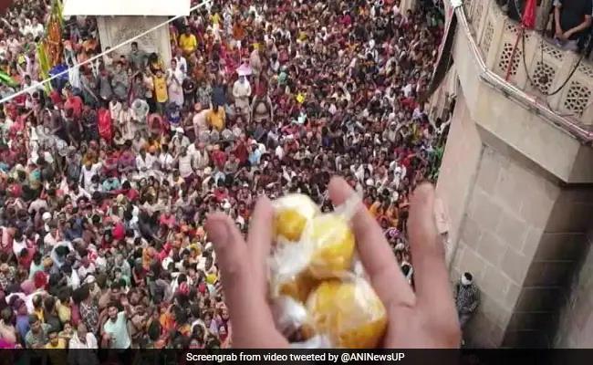 ndtv's tweet photo. Watch: Thousands At UP Temple For 'Laddu Maar Holi', Most Had No Masks https://t.co/uhN3XBr5Id https://t.co/oP0imzYlte