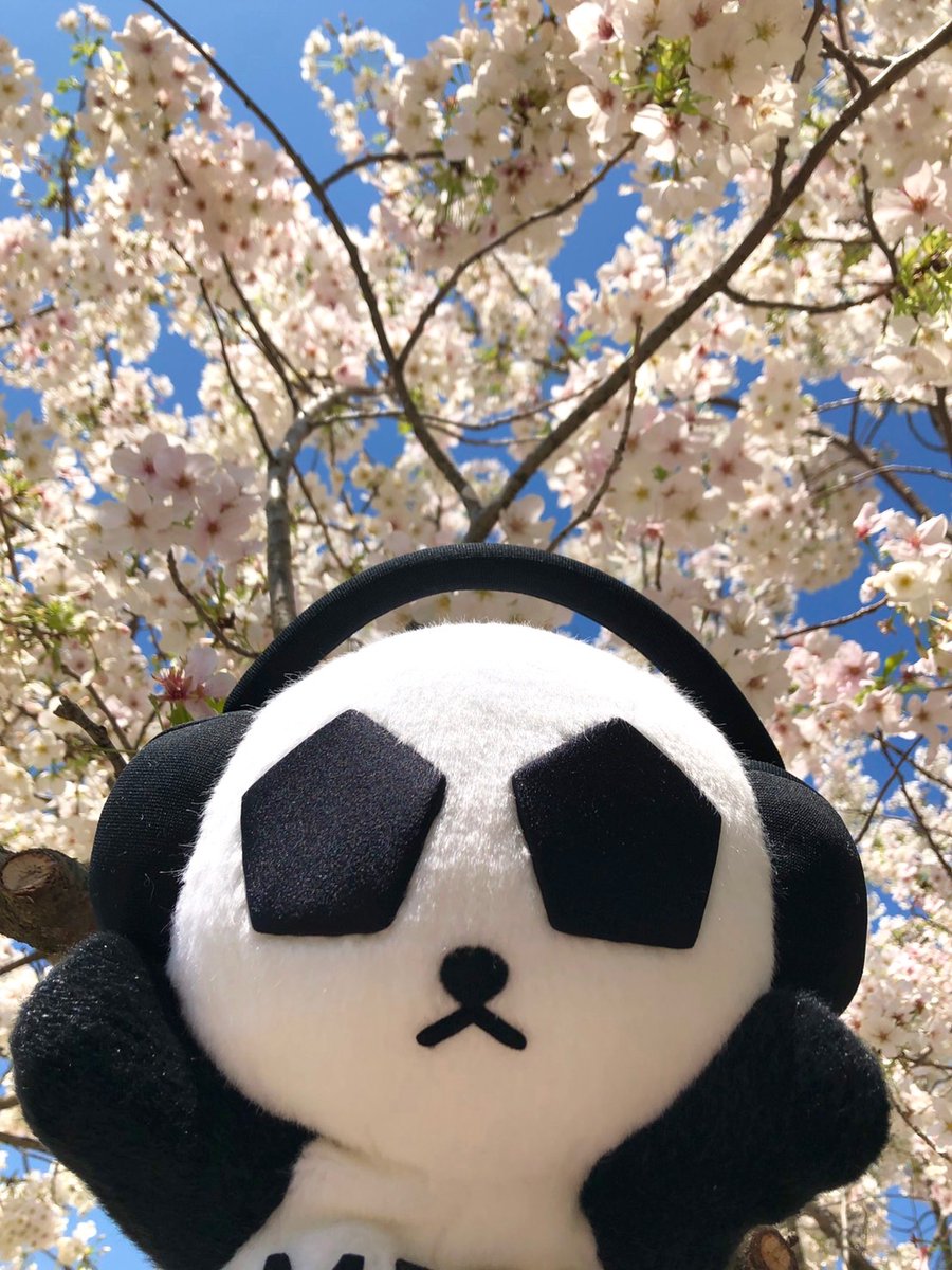 MIFANDAofficial's tweet photo. サービスショット🌸❤️ https://t.co/vWcs05wguj