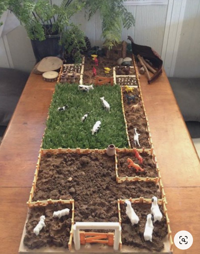 Tiffany Eaton tweet media