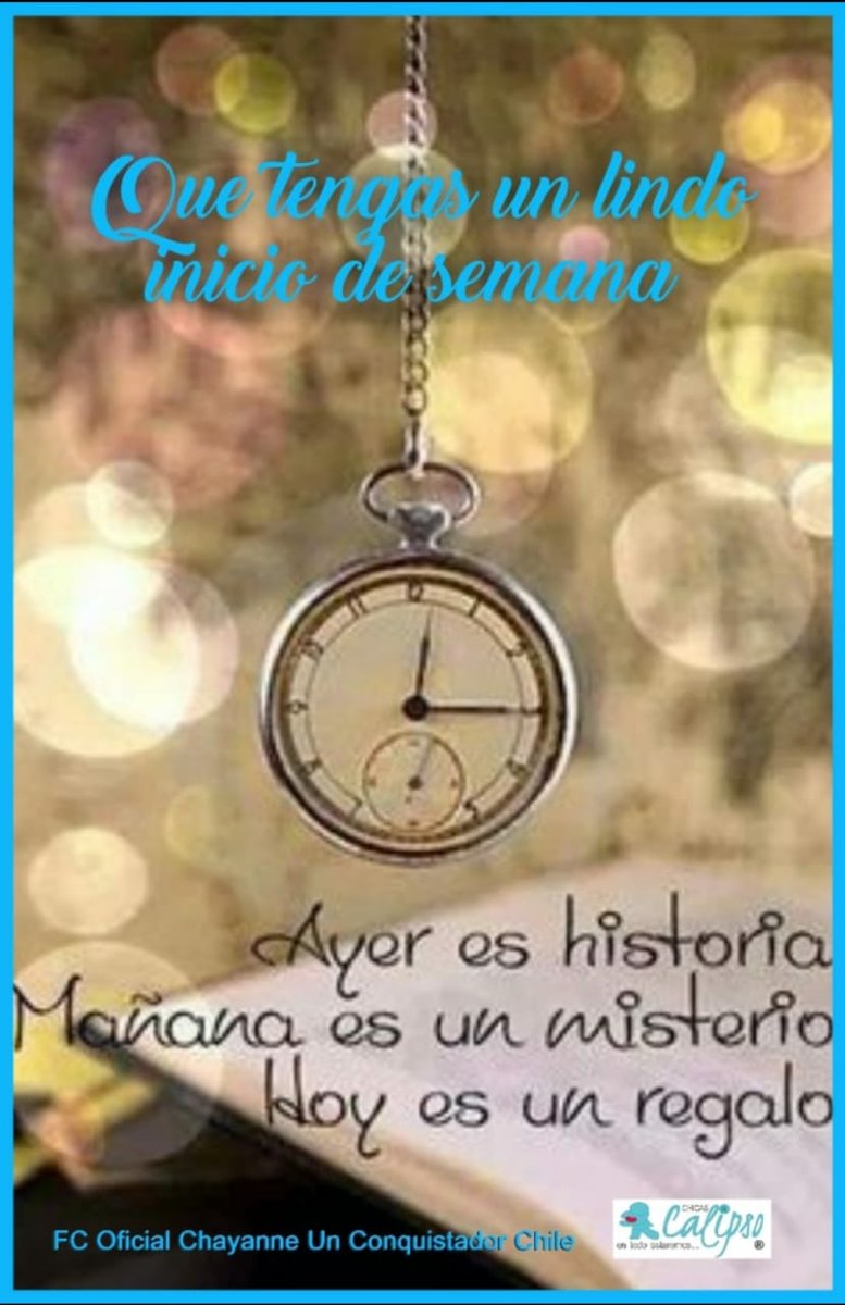 sandra lorena tweet media