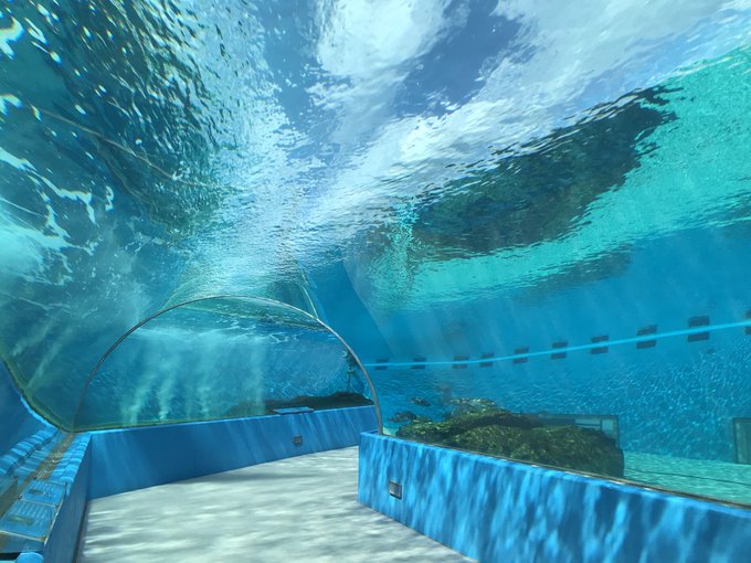 のとじま水族館のtwitterイラスト検索結果