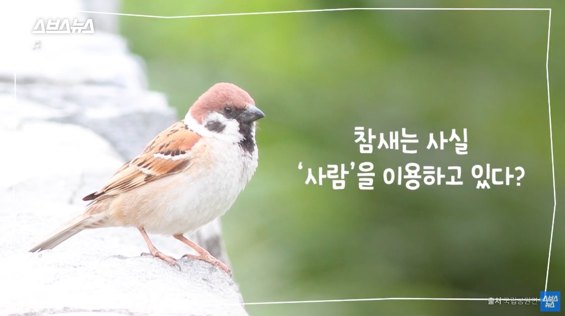 많이 이용해 먹어라