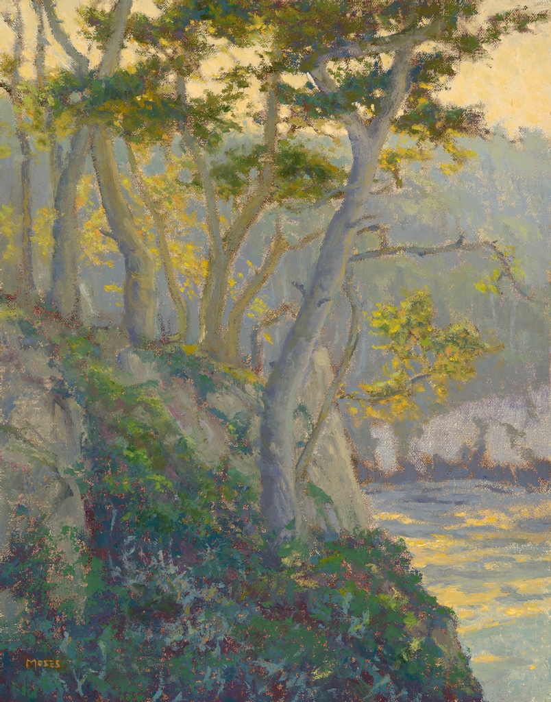 ARTALFA's tweet photo. Jennifer Moses, "Blue Fish Cove, Point Lobos", oil on canvas panel, 14" x 11"
https://t.co/gXHqFG9lIP
#jennifermoses #pointlobos #californiaart #californiaimpressionism #californiapleinair #westcoastart #pacificshore #westernart #americanart #americanfineart #realismart https://t.co/SvsGhYd89v