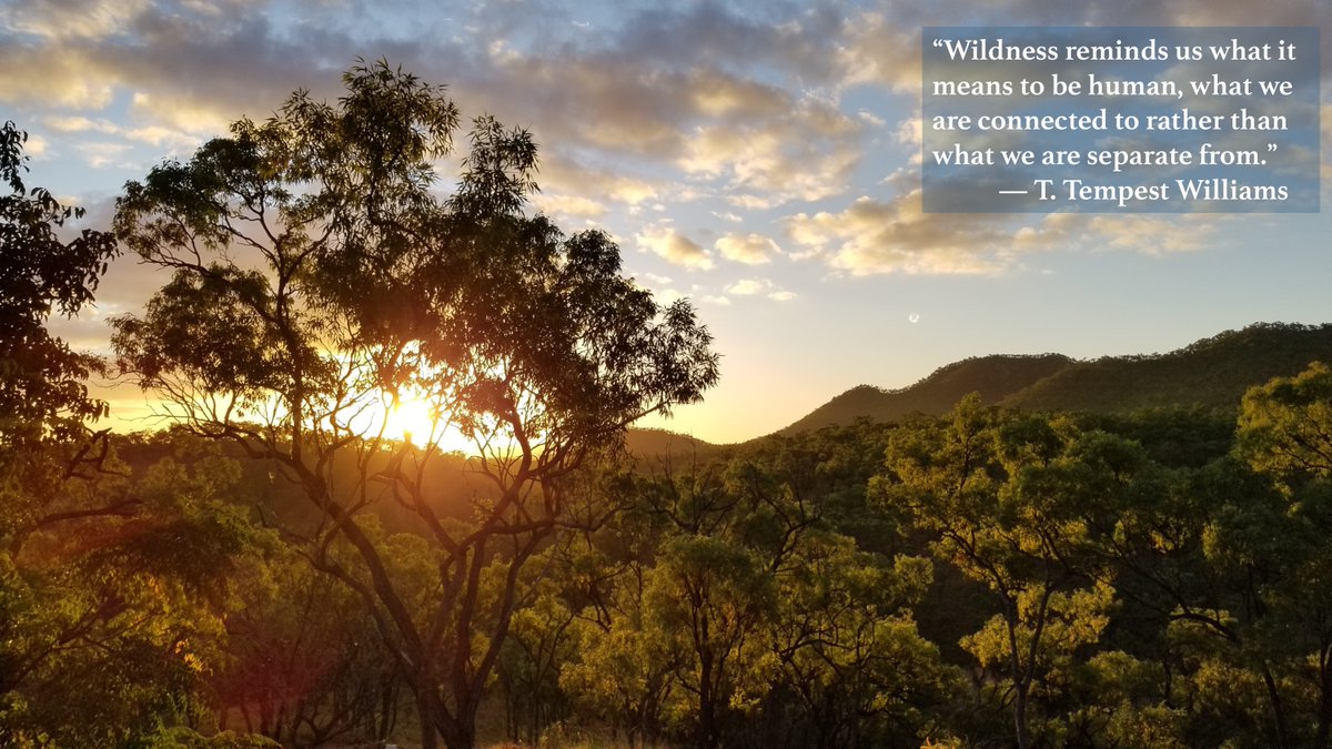 “Wildness reminds us what it means to be human, what we are connected to rather than what we are separate from.”   
           — T. Tempest Williams #2021MMM 

[pic is Australian Outback savannah]