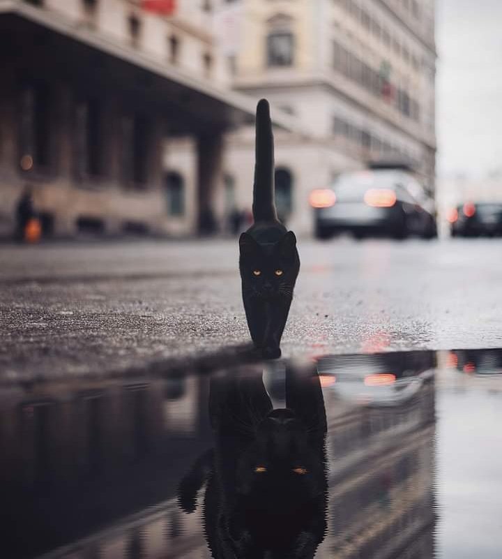 "No soy todo lo que vez.. pero tampoco vez todo lo que soy"