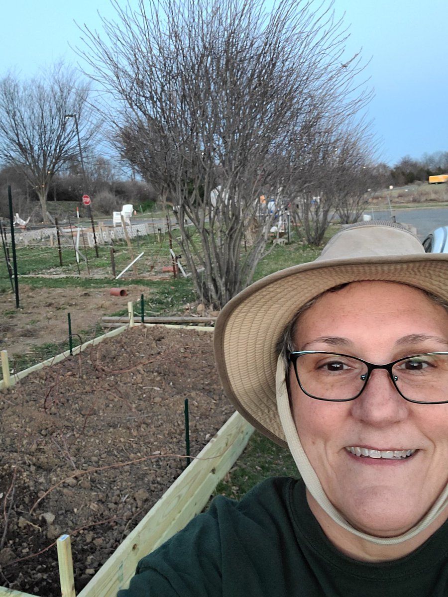 KurseNimmie64's tweet photo. 2 new raised beds cause I had to move the raspberries again. All that dirt was moved as well one wheelbarrow full at a time. Lost a fight with a bee, I think. I got stung but it died. #callousesfordays #firstblistershereandgone #nogymneededtoday https://t.co/j3gORsYLF8
