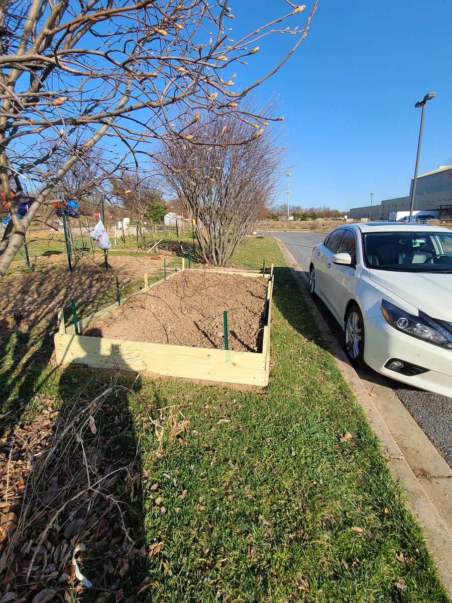 KurseNimmie64's tweet photo. 2 new raised beds cause I had to move the raspberries again. All that dirt was moved as well one wheelbarrow full at a time. Lost a fight with a bee, I think. I got stung but it died. #callousesfordays #firstblistershereandgone #nogymneededtoday https://t.co/j3gORsYLF8