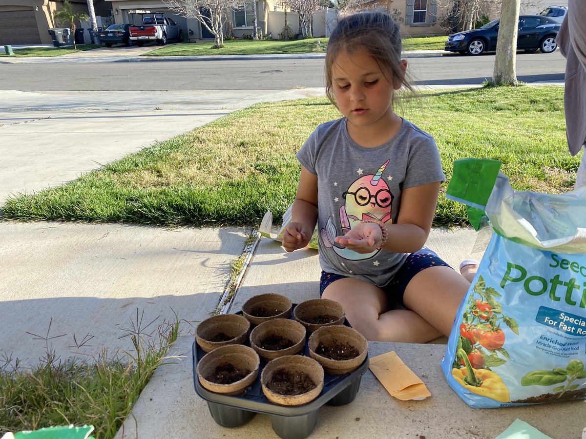 StacyR_82's tweet photo. Sweet Corn, Heirloom Beans, Onions, and Tomatillos! Spring into Gardening time #mresgarden #jmgkids #growperris @MayRanch @JMGKids @ValVerdeUSD https://t.co/BiiS6iQoKM