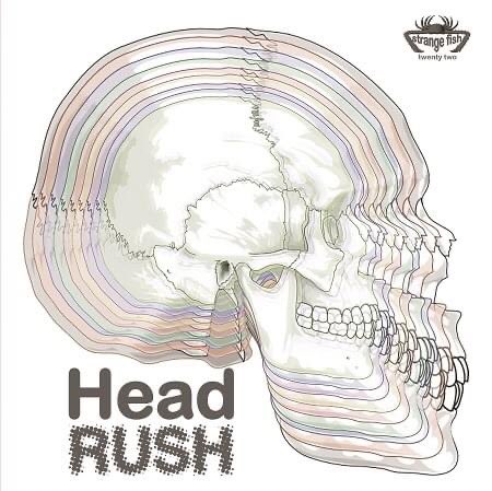 Head Rush - our new set of motorik-influenced bands and tracks - 3LPs + a bonus CD fruitsdemerrecords.com/headrush.html