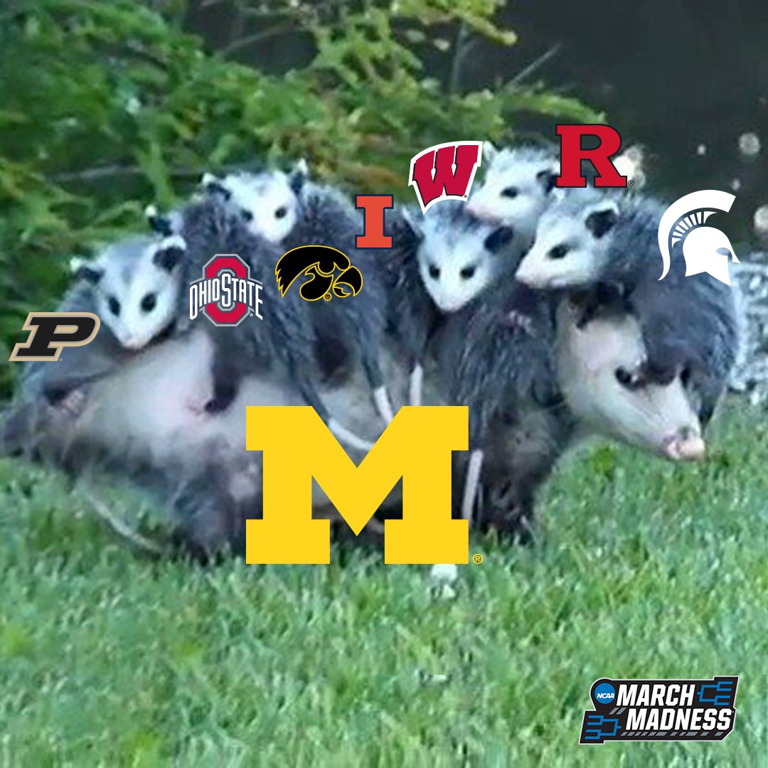 MarchMadnessMBB's tweet photo. Michigan carrying the B1G in #MarchMadness https://t.co/DyiOqVyM7q