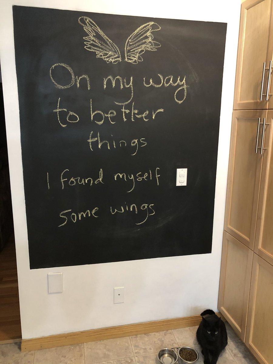 ShanboRobi's tweet photo. No time @burtoncummings #meetelliethecat https://t.co/y3gxFtTGJv