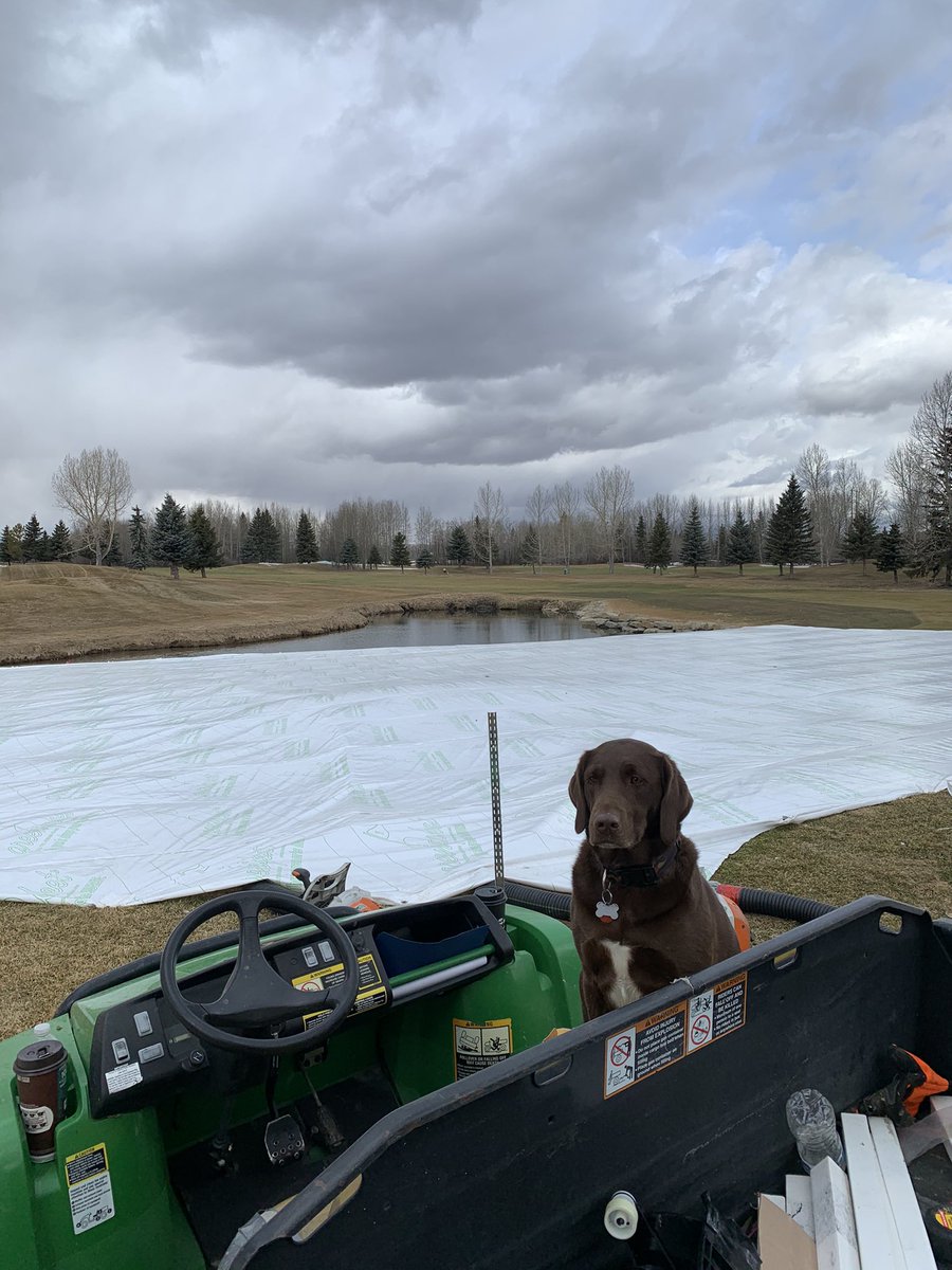 Geoff Strelow tweet media